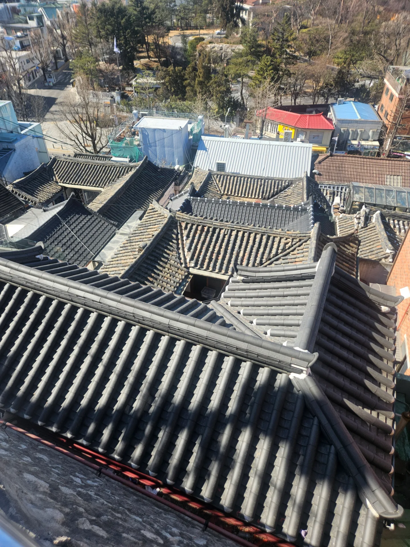 디저트와 과일이 함께 구성된 테이블 디테일
