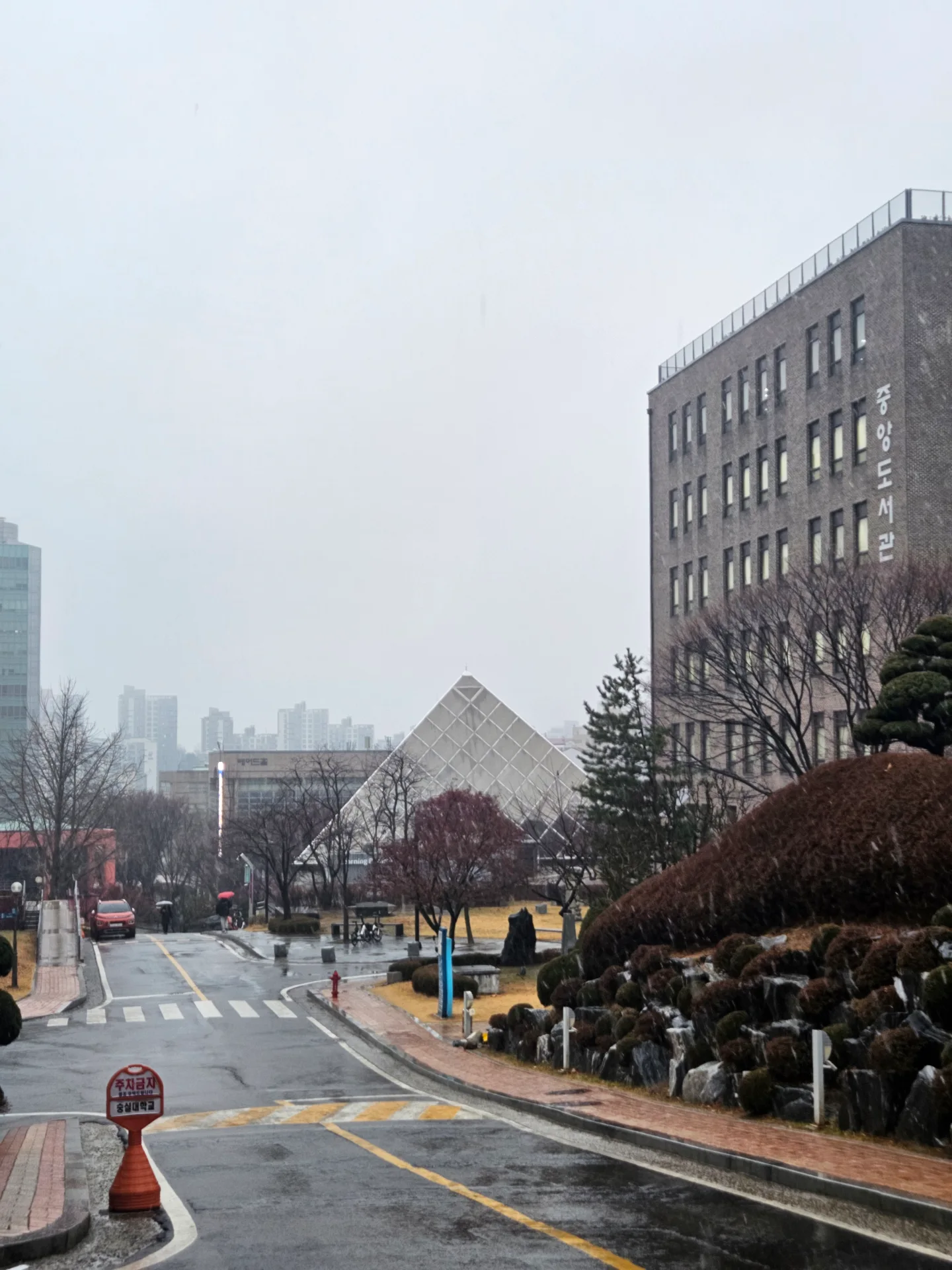 케일쌈밥과 소고기 채소말이, 동파육 등 메인 메뉴 구성
